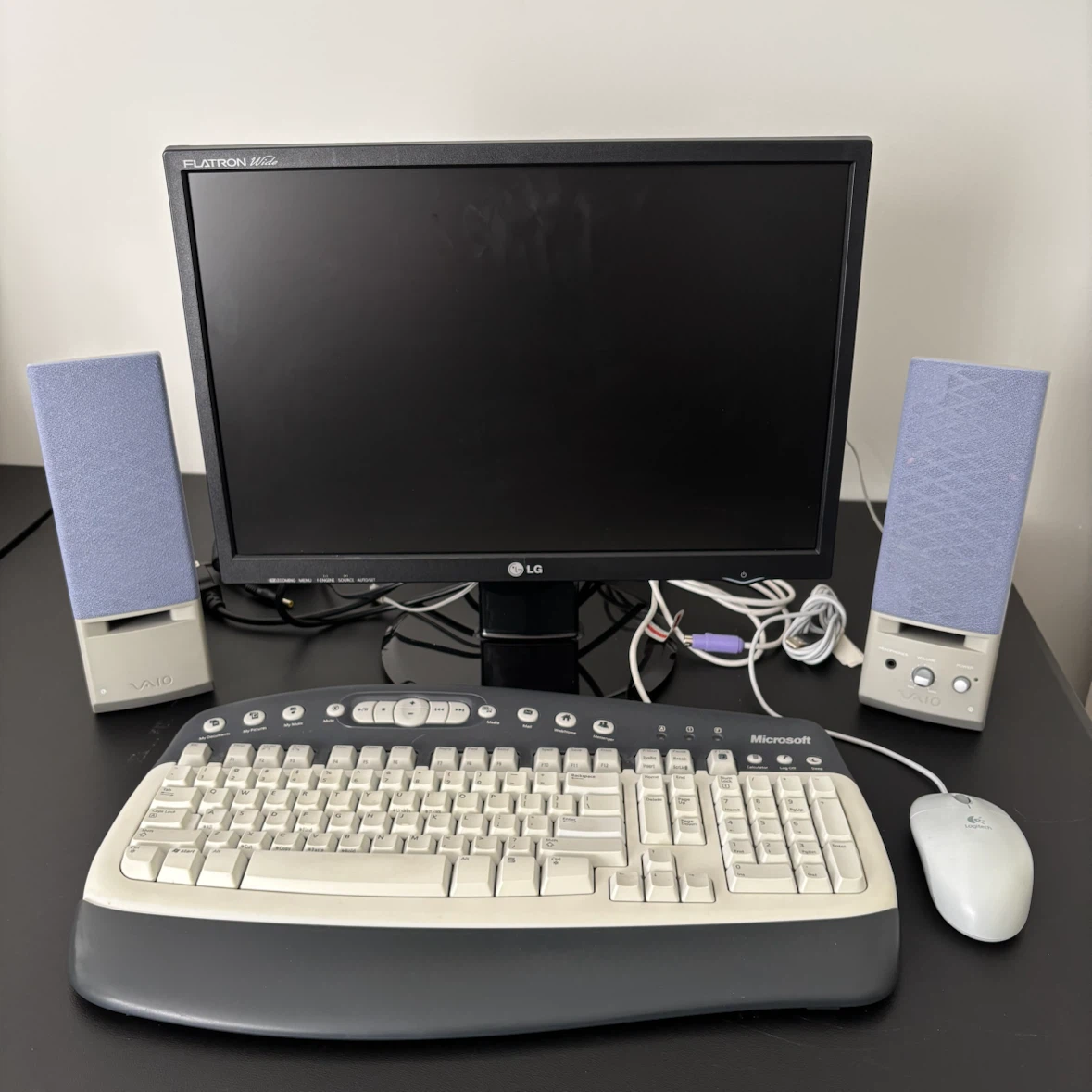 LG Monitor, Keyboard, Mouse & Sony Speakers