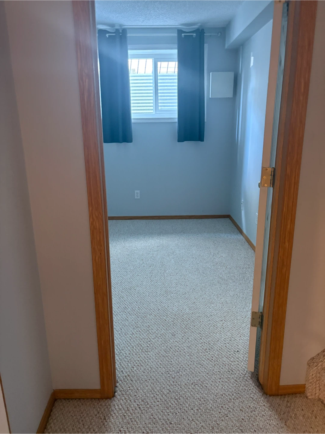 Walkout basement for rent