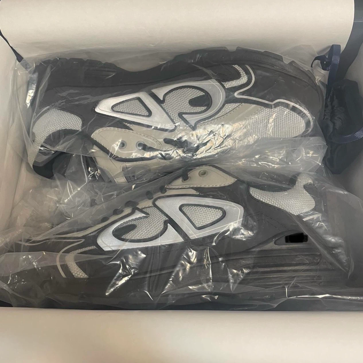 Dior b30