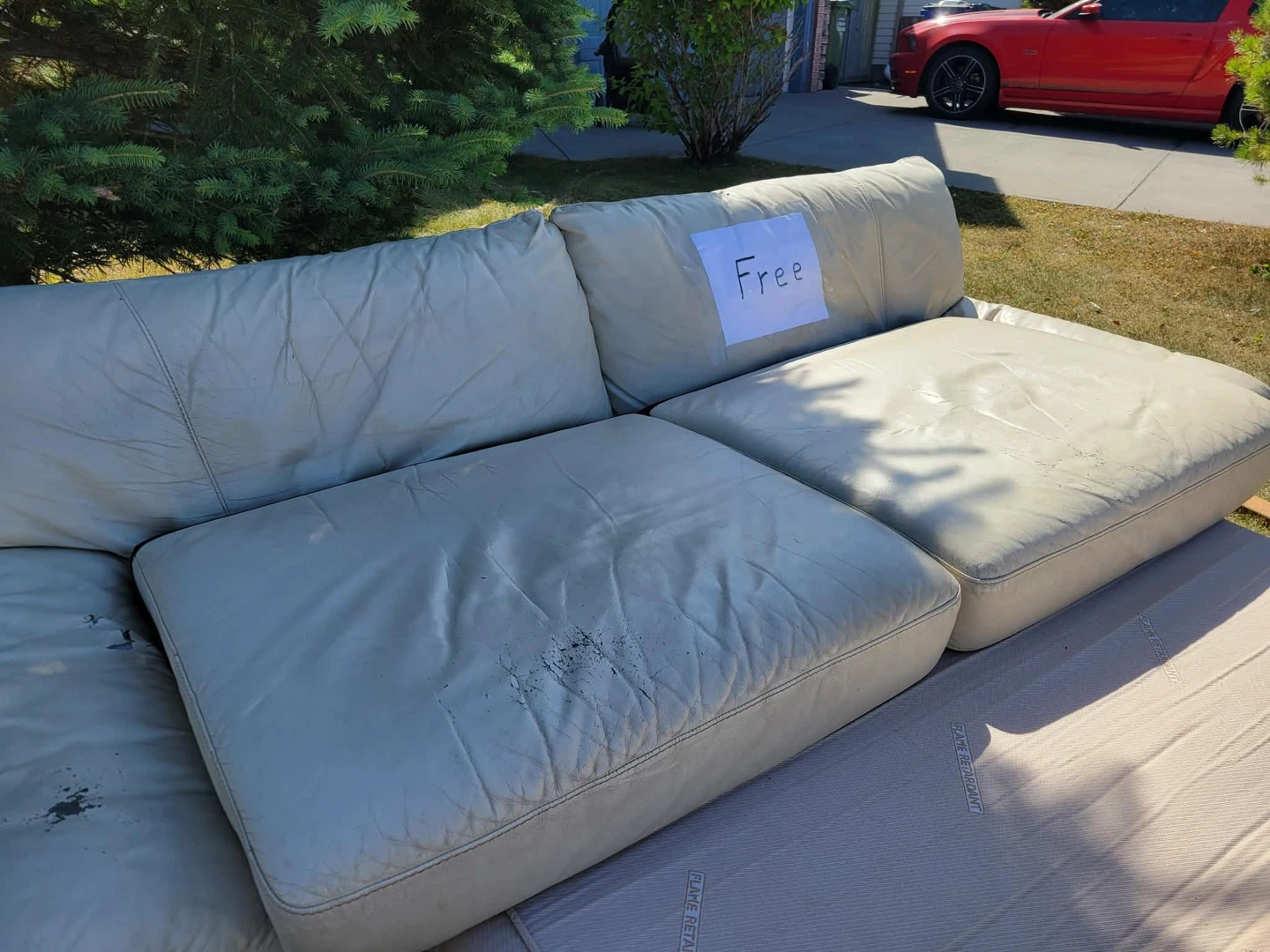 Leather Hide-a-Bed Sofa