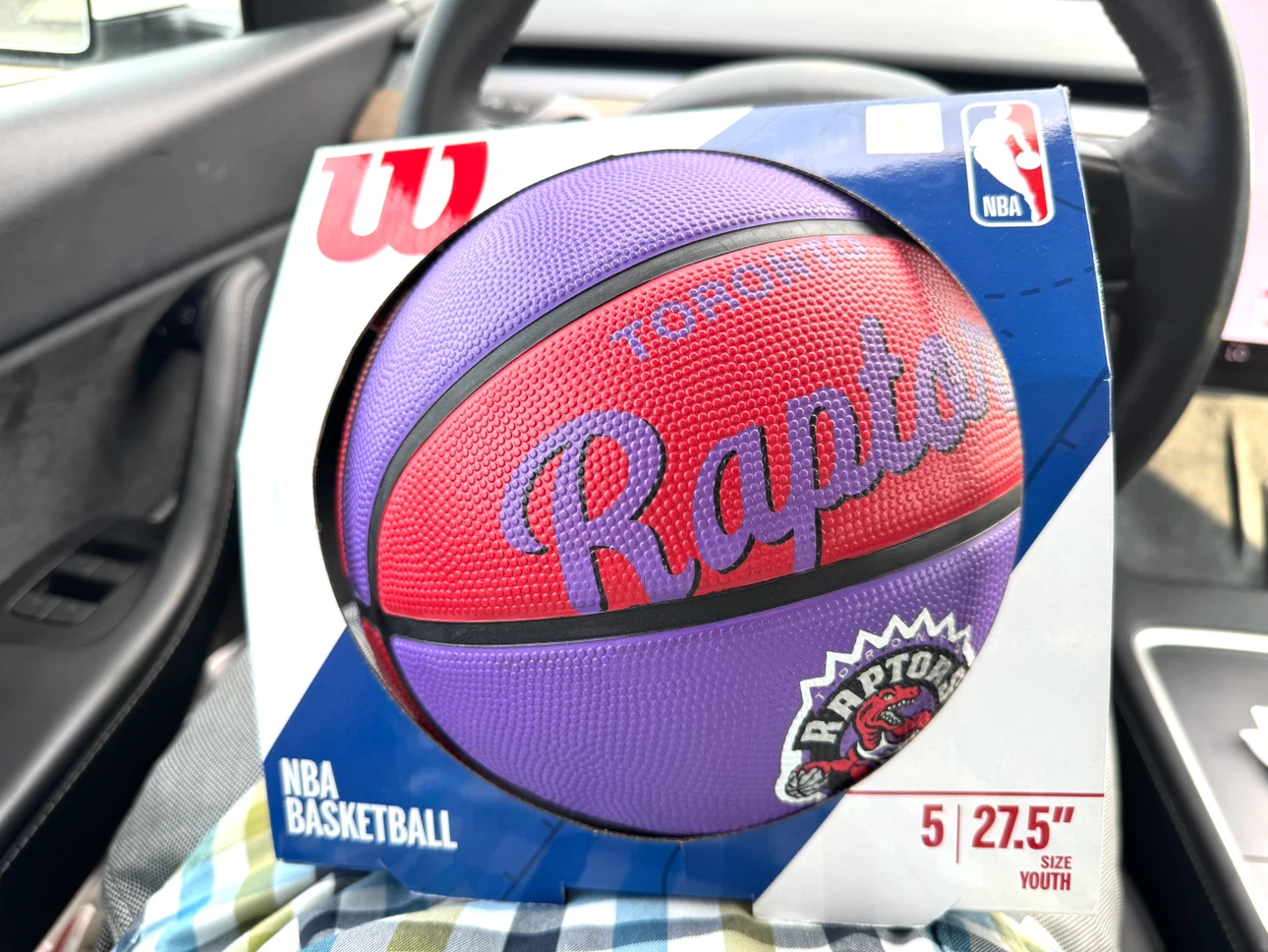 Wilson NBA Toronto Raptors Youth Basketball 27.5"