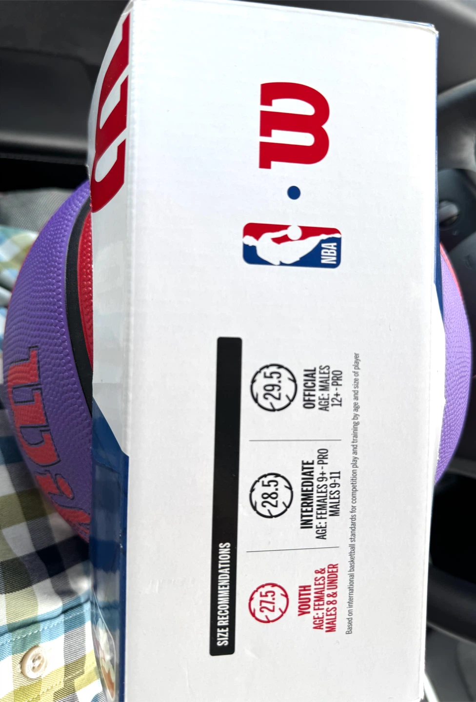 Wilson NBA Toronto Raptors Youth Basketball 27.5" - photo 2
