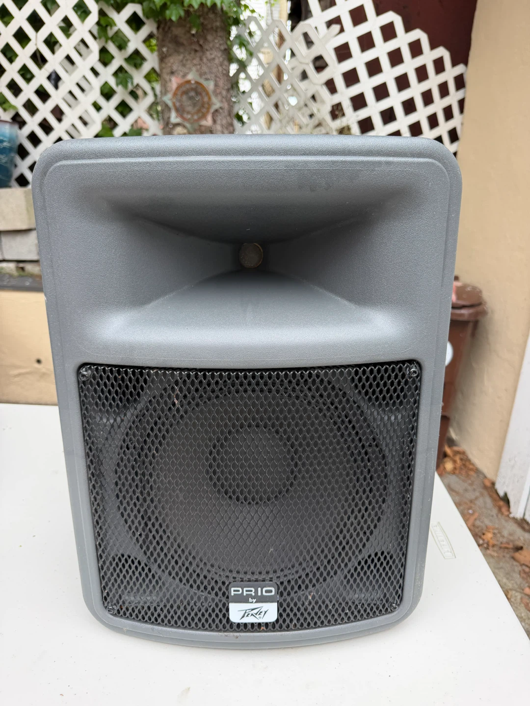 Peavey PR 10 Speaker