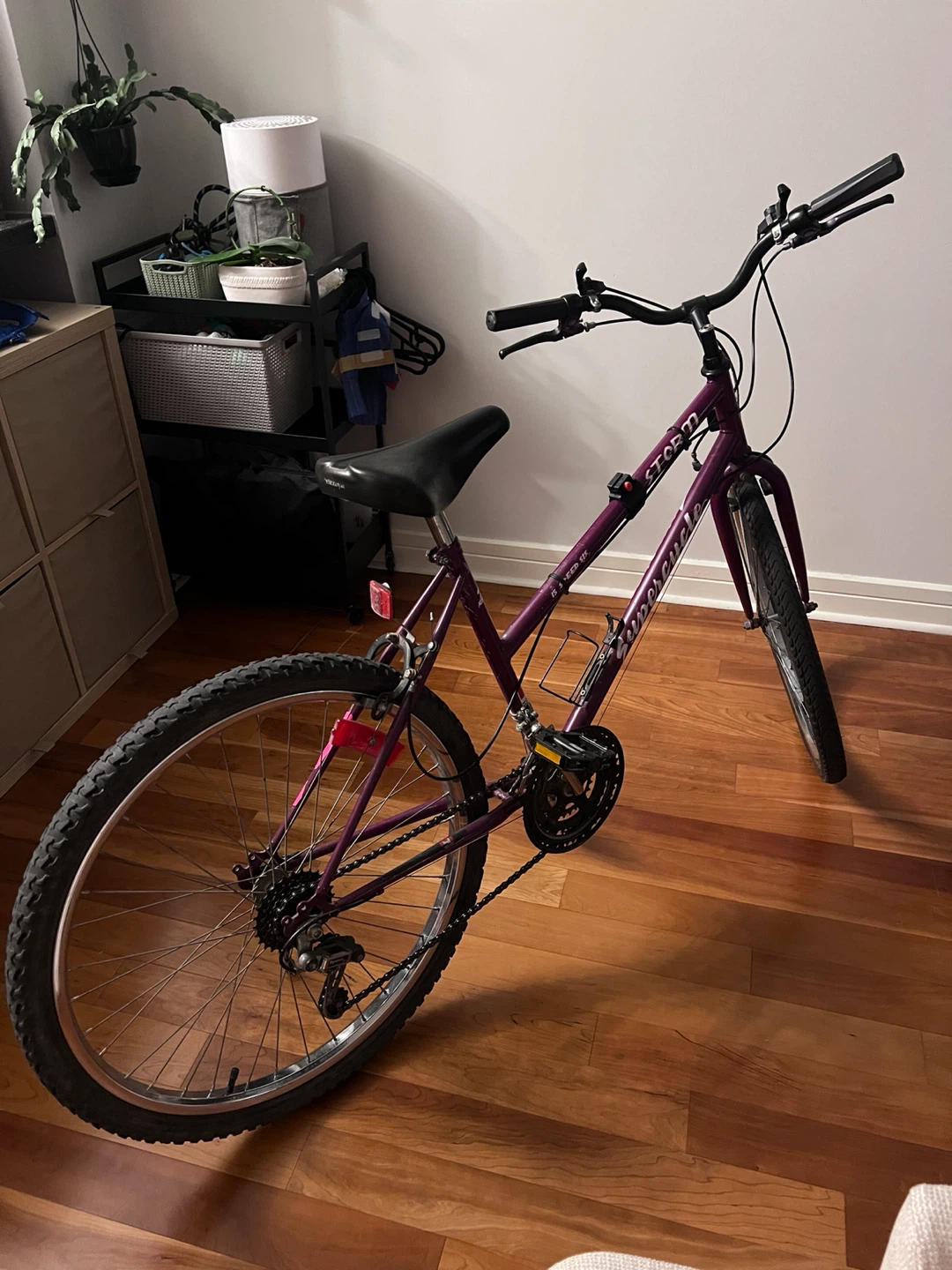 Supercycle Storm Women's Bicycle
