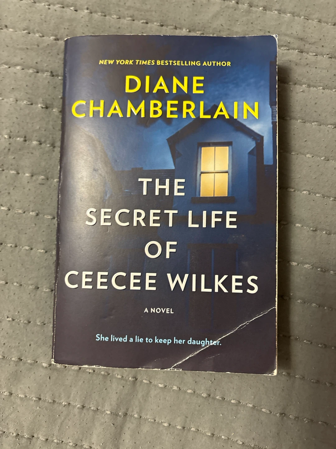 The Secret Life of CeeCee Wilkes