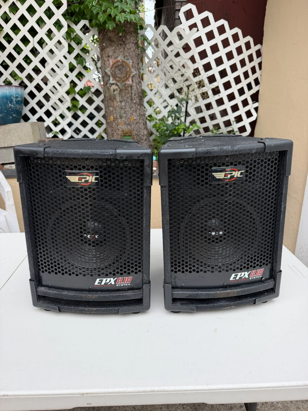 EPIC EPX 818 Pro-X System PA Speakers
