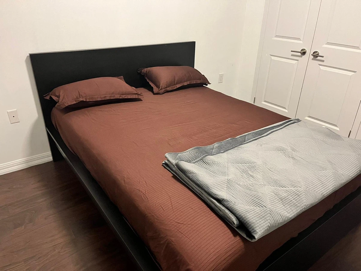 IKEA MALM Bed Frame - Black ( Queen ) - photo 2