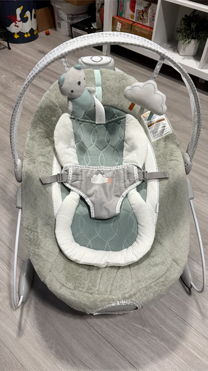 Ingenuity SmartBounce Automatic Bouncer check more pictures