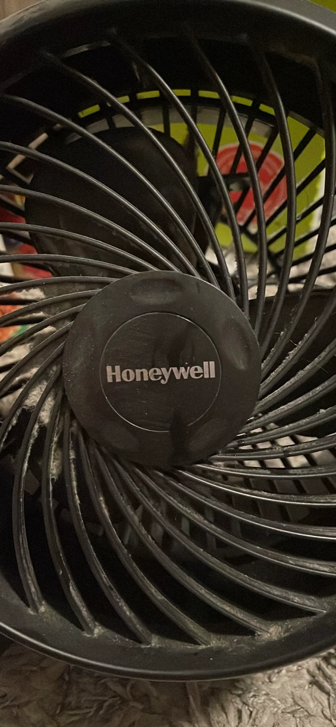 Table fan