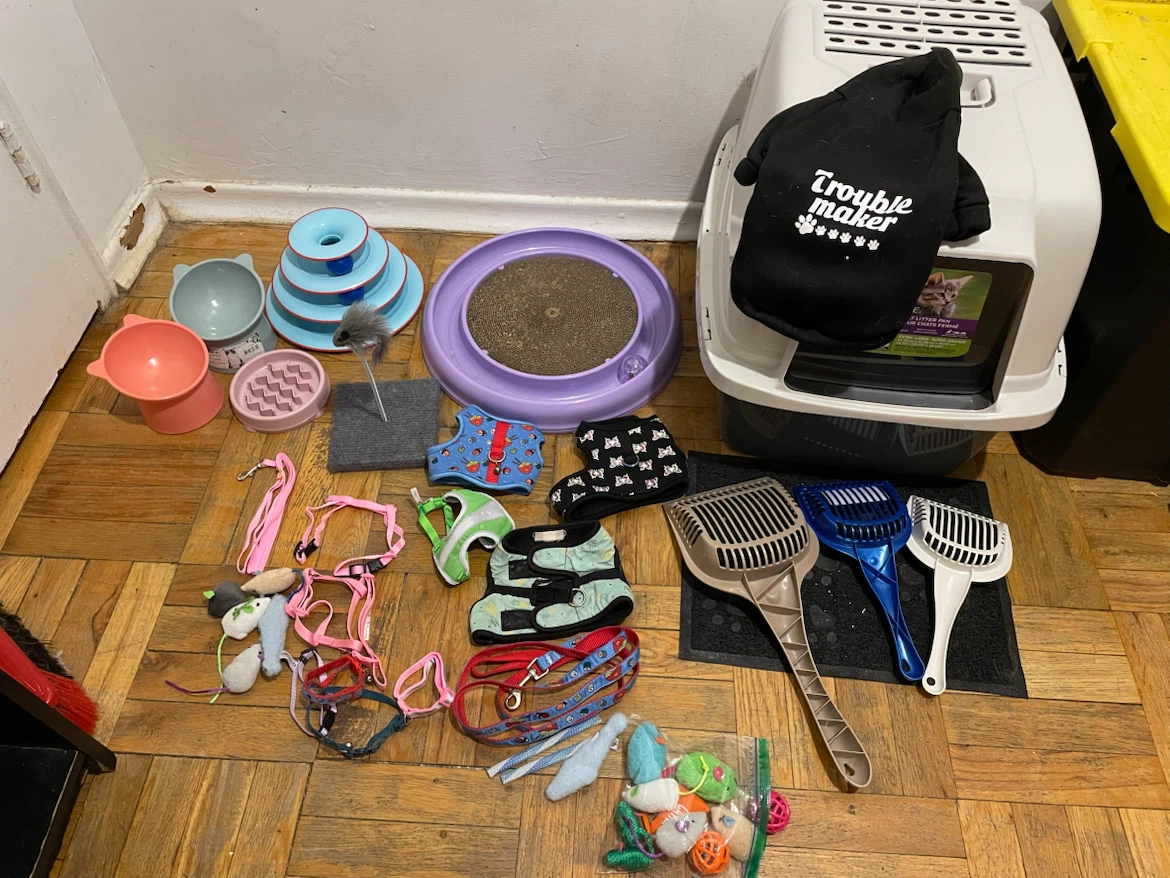 Cat/Kitten LitterBox, Toys, Harnesses, Etc Lot