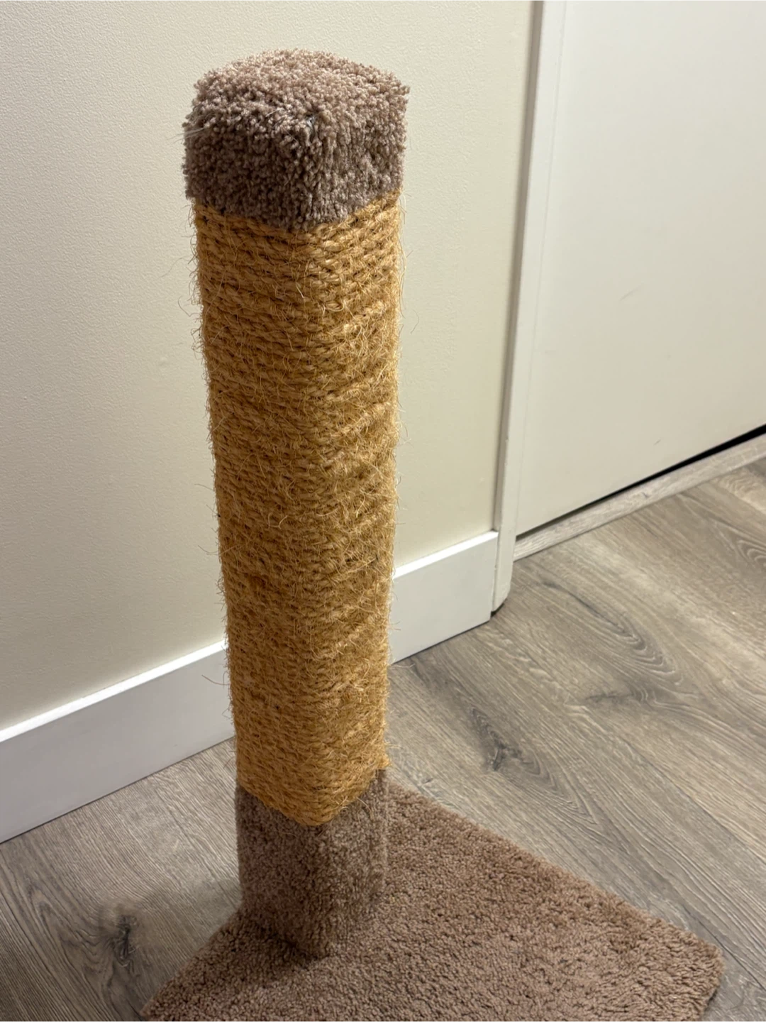 Pet Bed, Litter Box, and Scratching Post Set