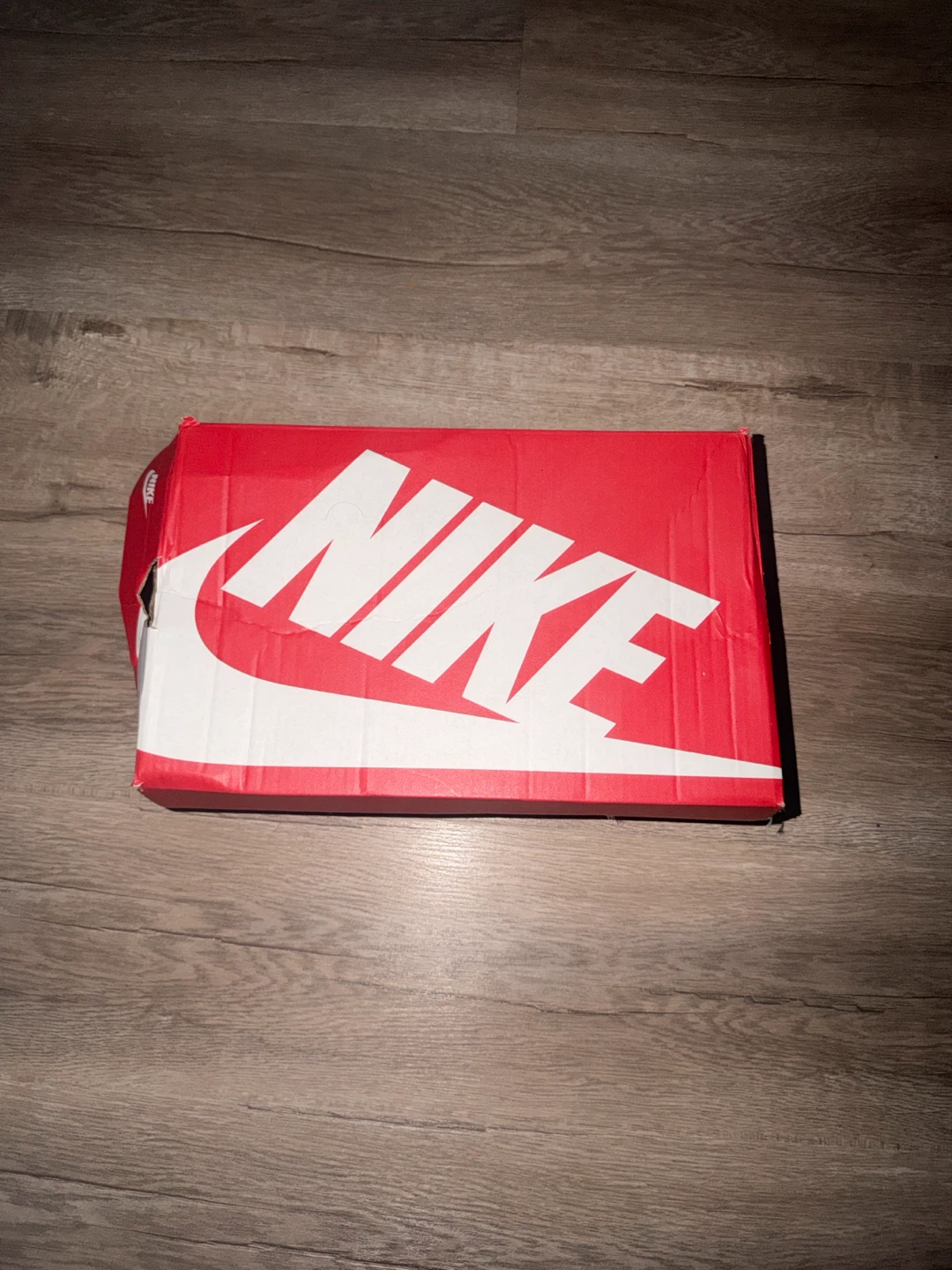 Nike Dunk Low