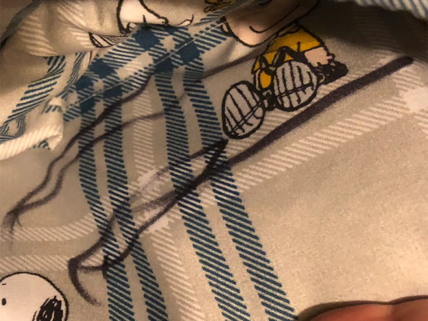 NEW Peanuts Queen Sheet Set - photo 5