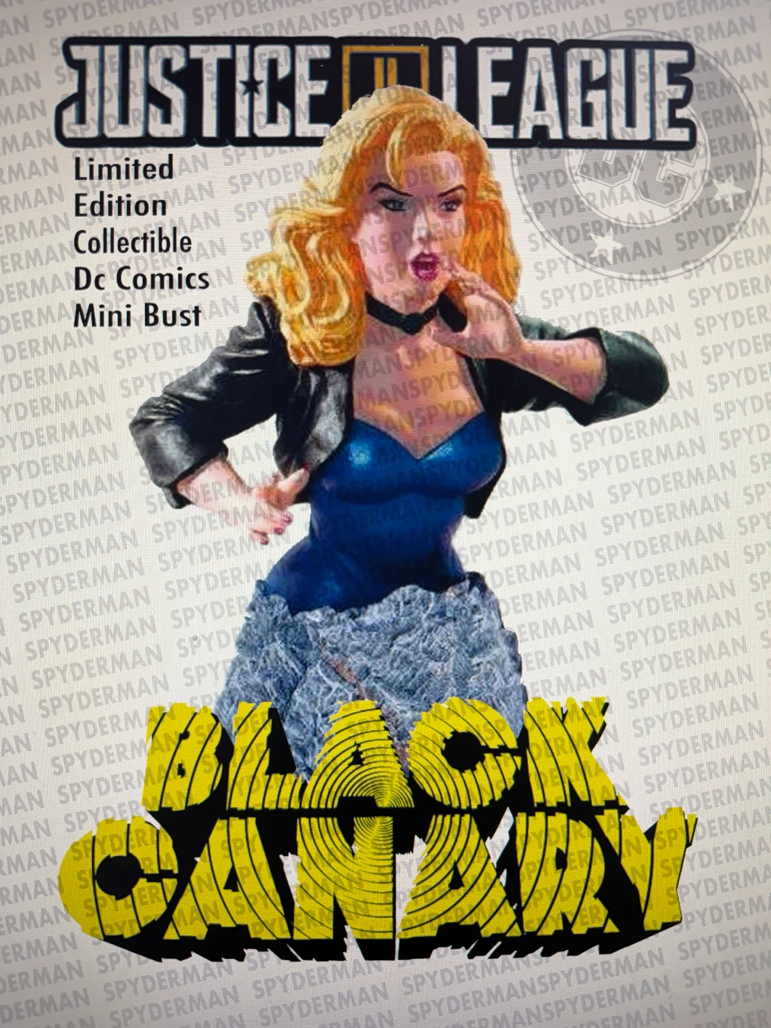 DC Comics Justice League Black Canary Mini Bust Limited Edition