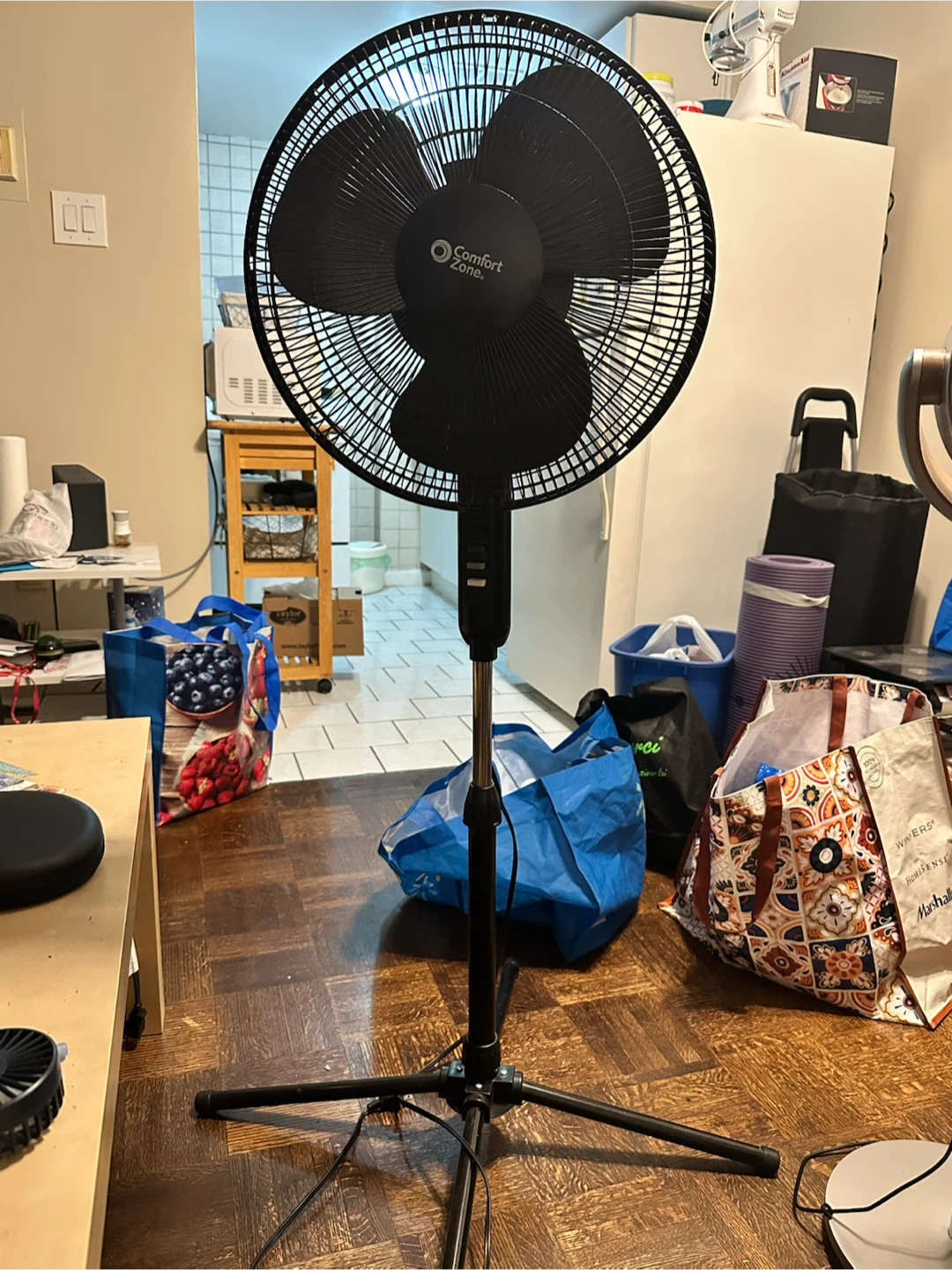 Comfort Zone Black Standing Fan