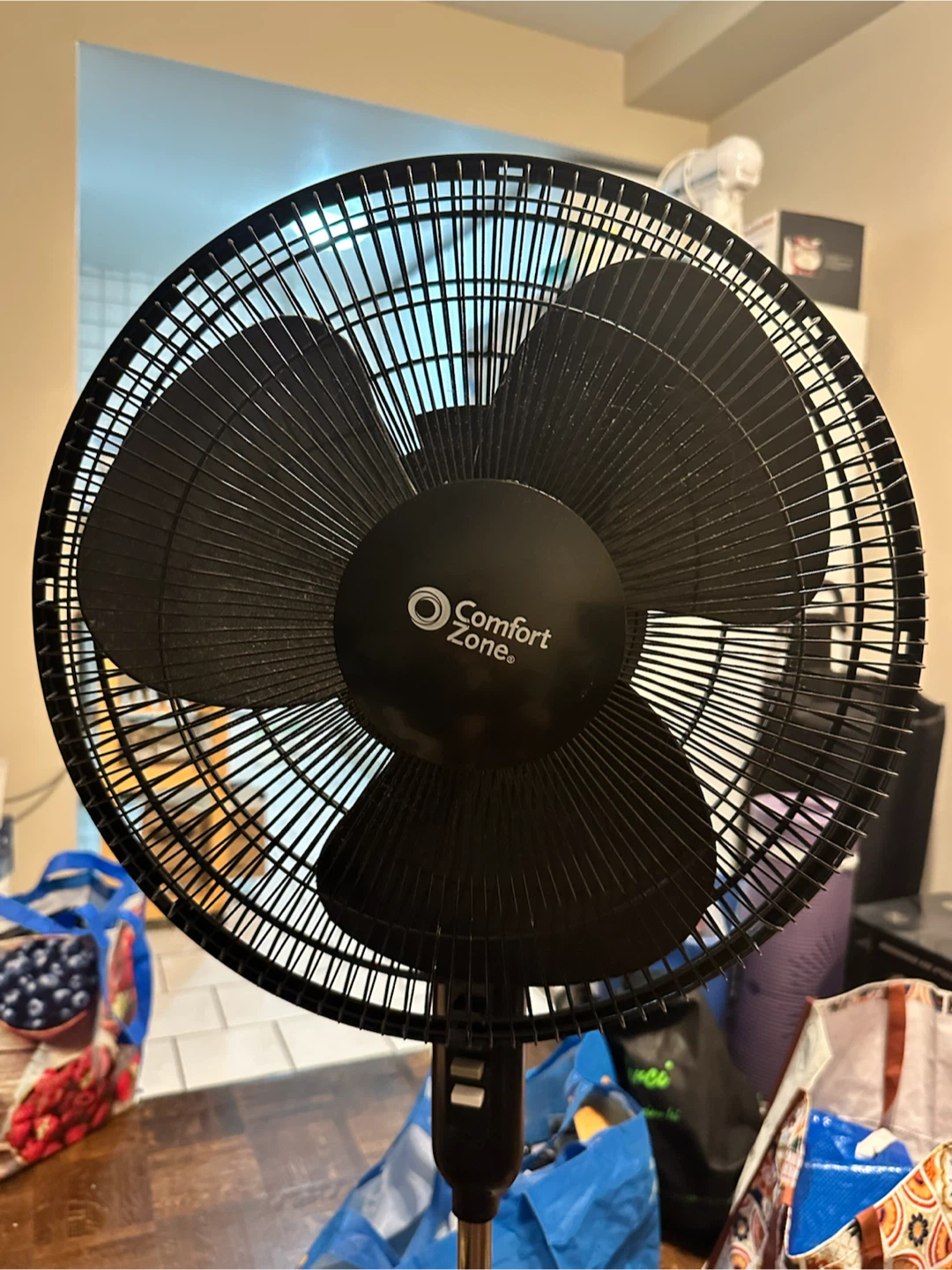 Comfort Zone Black Standing Fan - photo 2