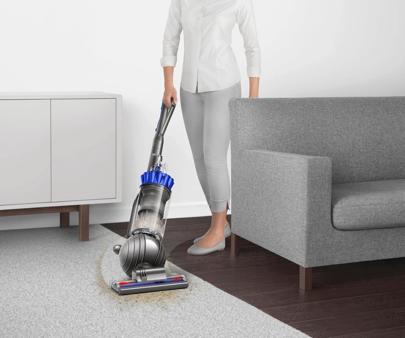 Dyson Ball Animal 2 Vacuum Cleaner