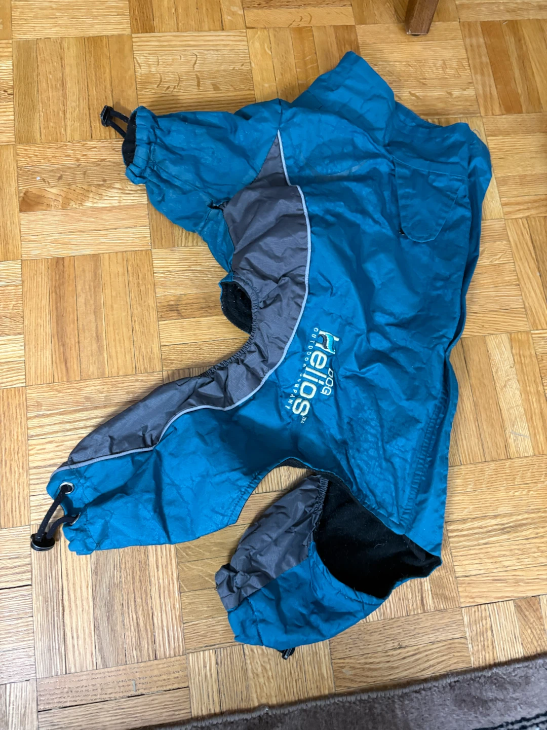 Accessories for medium size dog - photo 2
