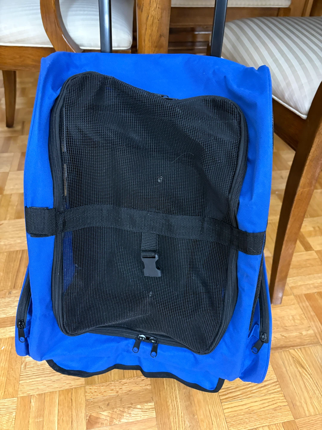 Accessories for medium size dog - photo 5