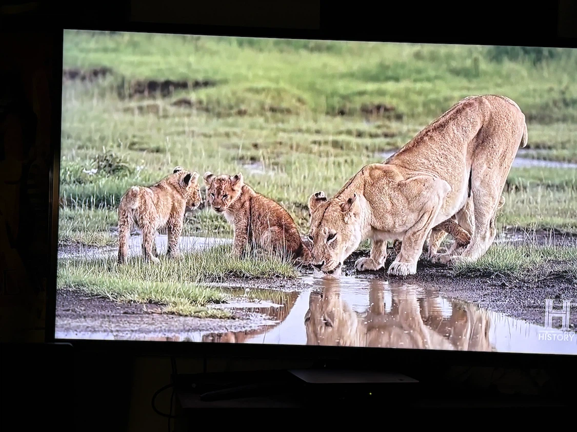 Samsung 55” Smart LED TV (UN55ES6150) - $125 OBO - photo 3