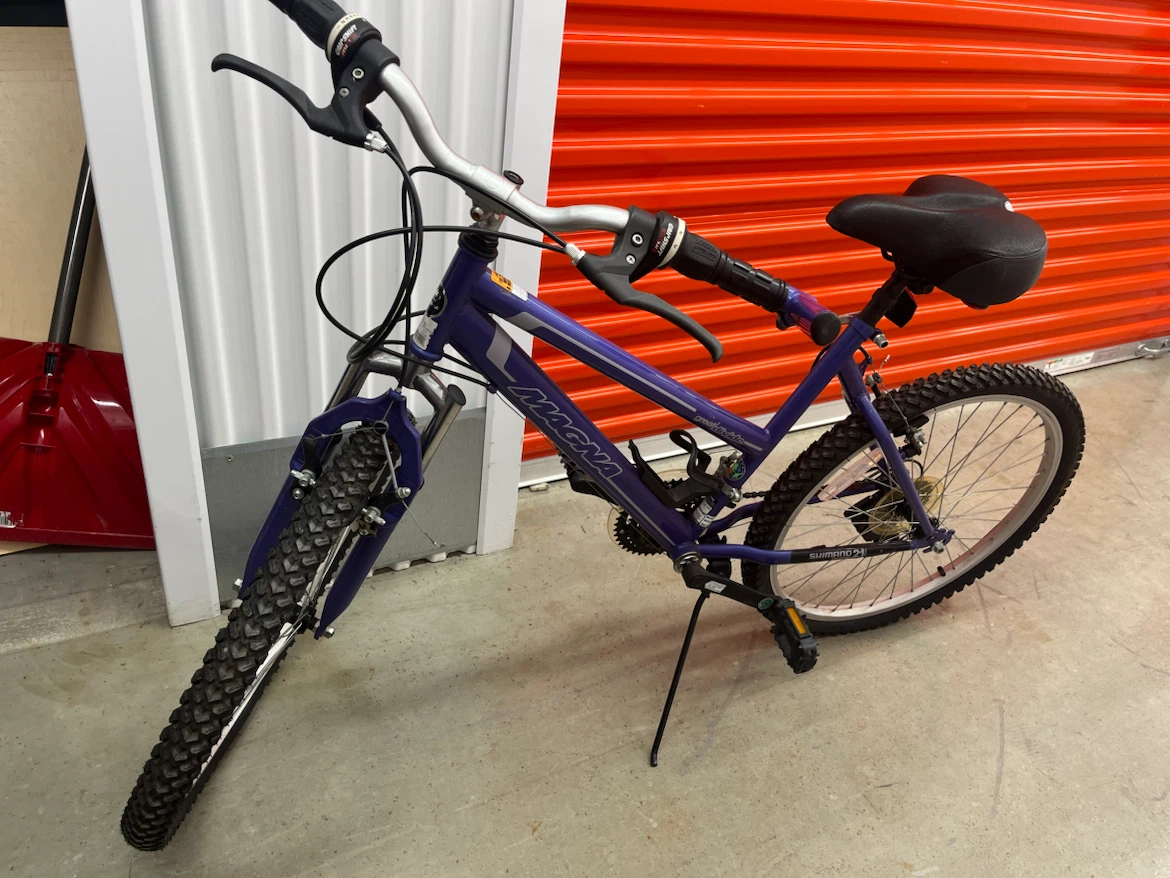 24 in Magna Bike in purple
