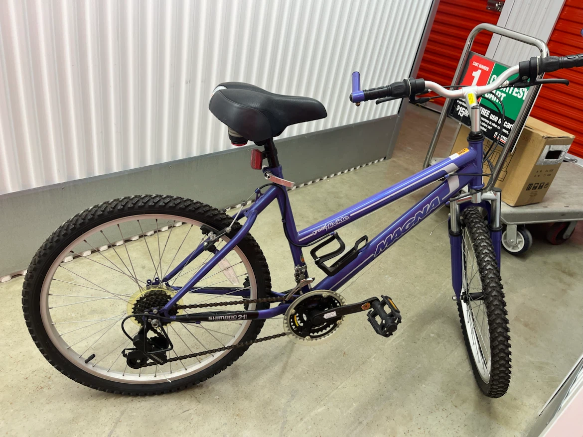 24 in Magna Bike in purple - photo 2