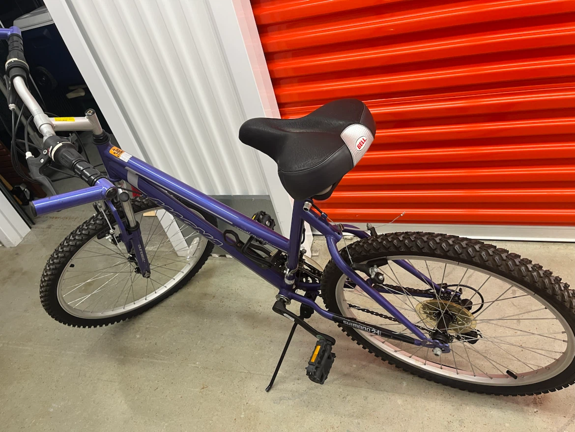 24 in Magna Bike in purple - photo 3