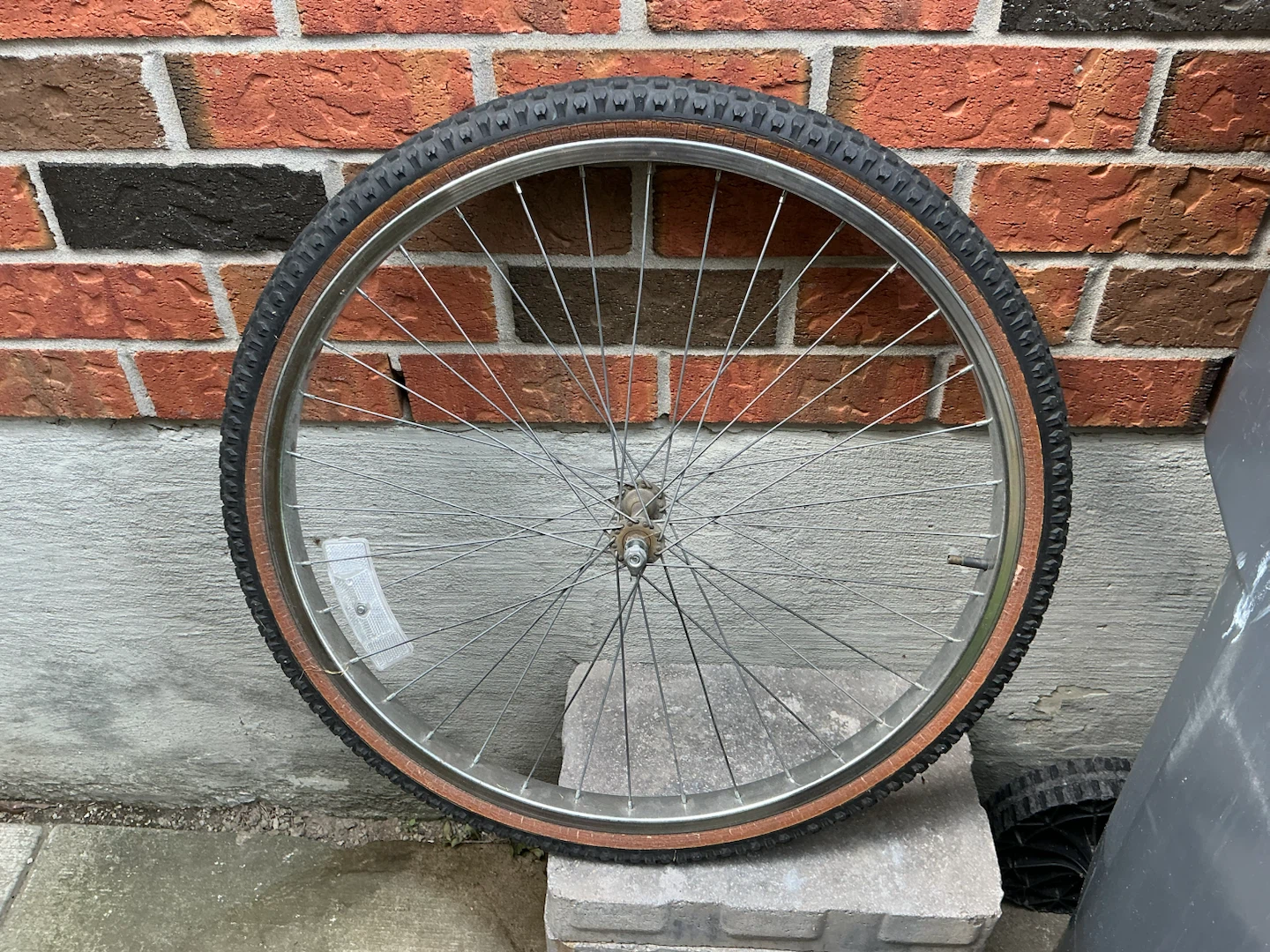 Bicycle Wheel with Tire