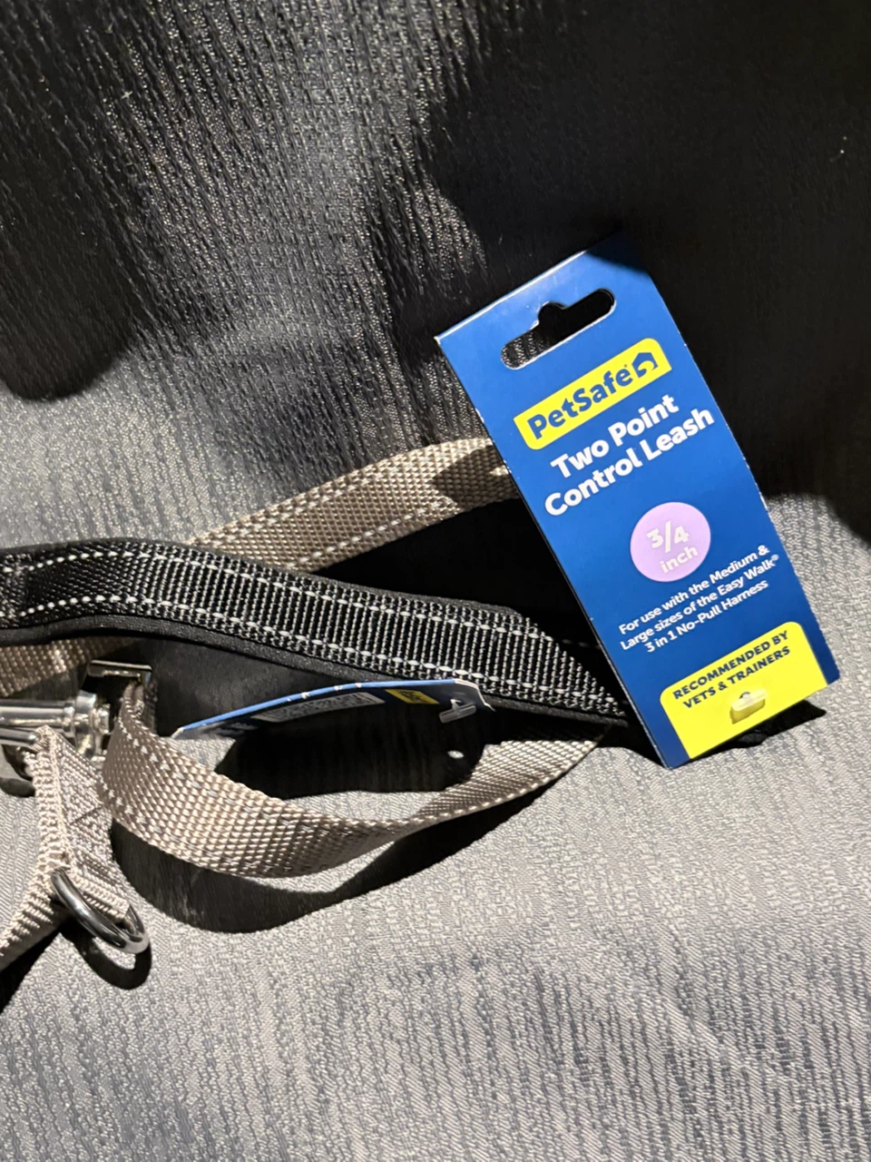 PetSafe Two Point Control Leash 3/4 inch
