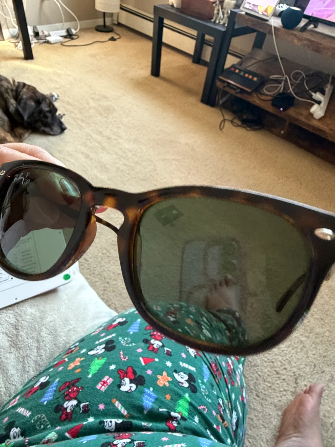 Ray-Ban - Tortoise (Havana) frame with Polarized Green Lenses