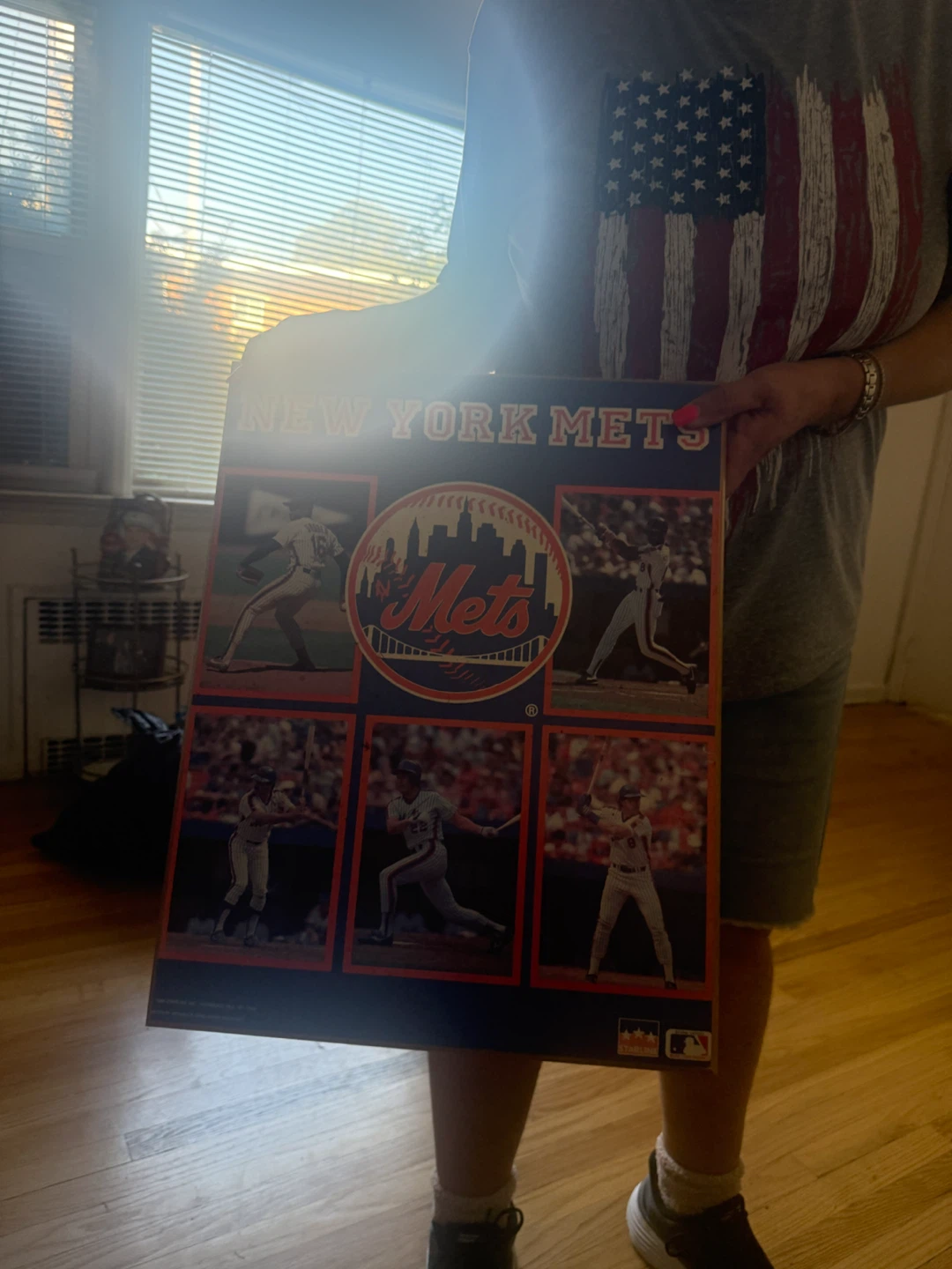 New York Mets Vintage Poster