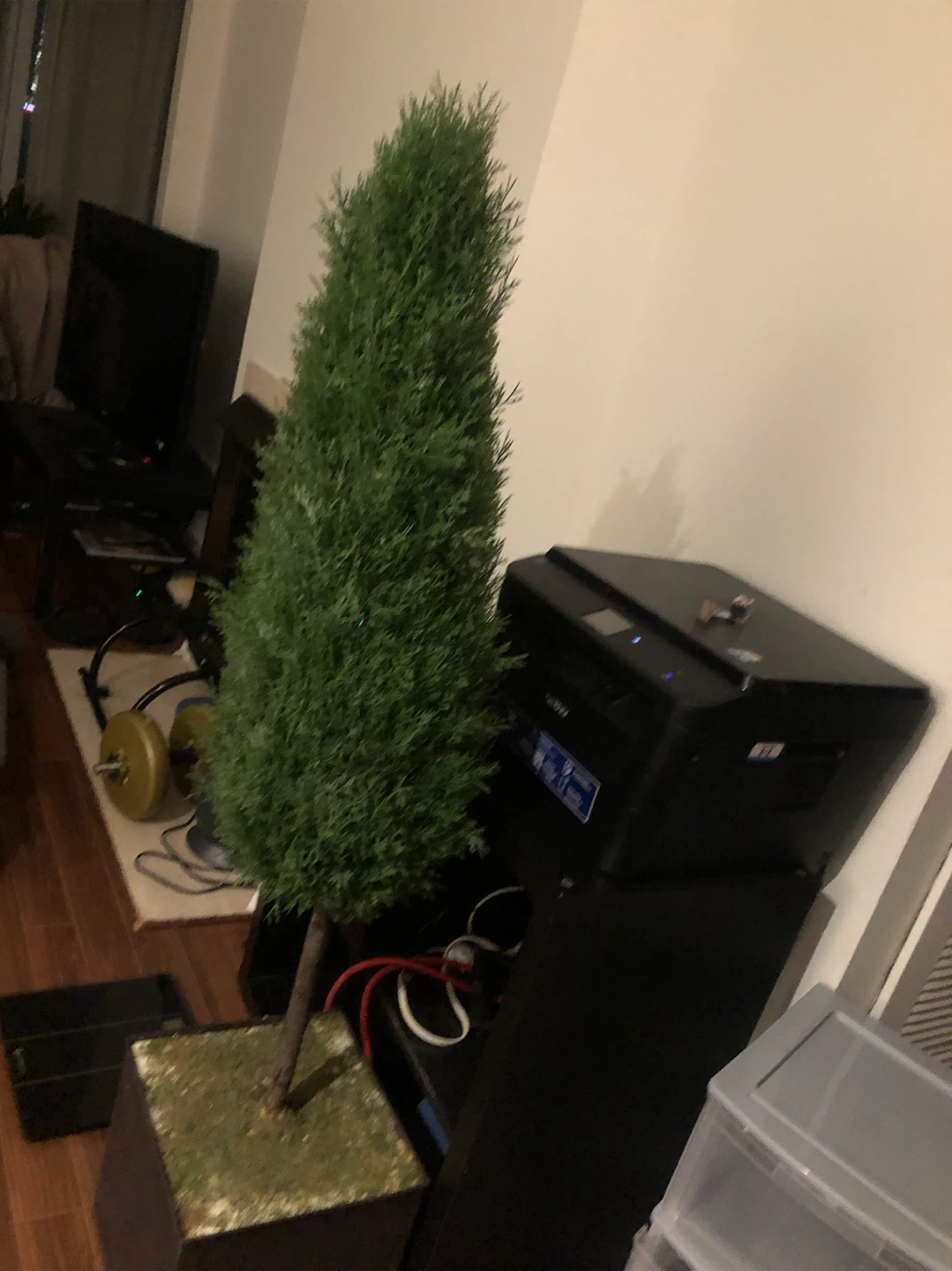 Artificial Pine Tree in Pot