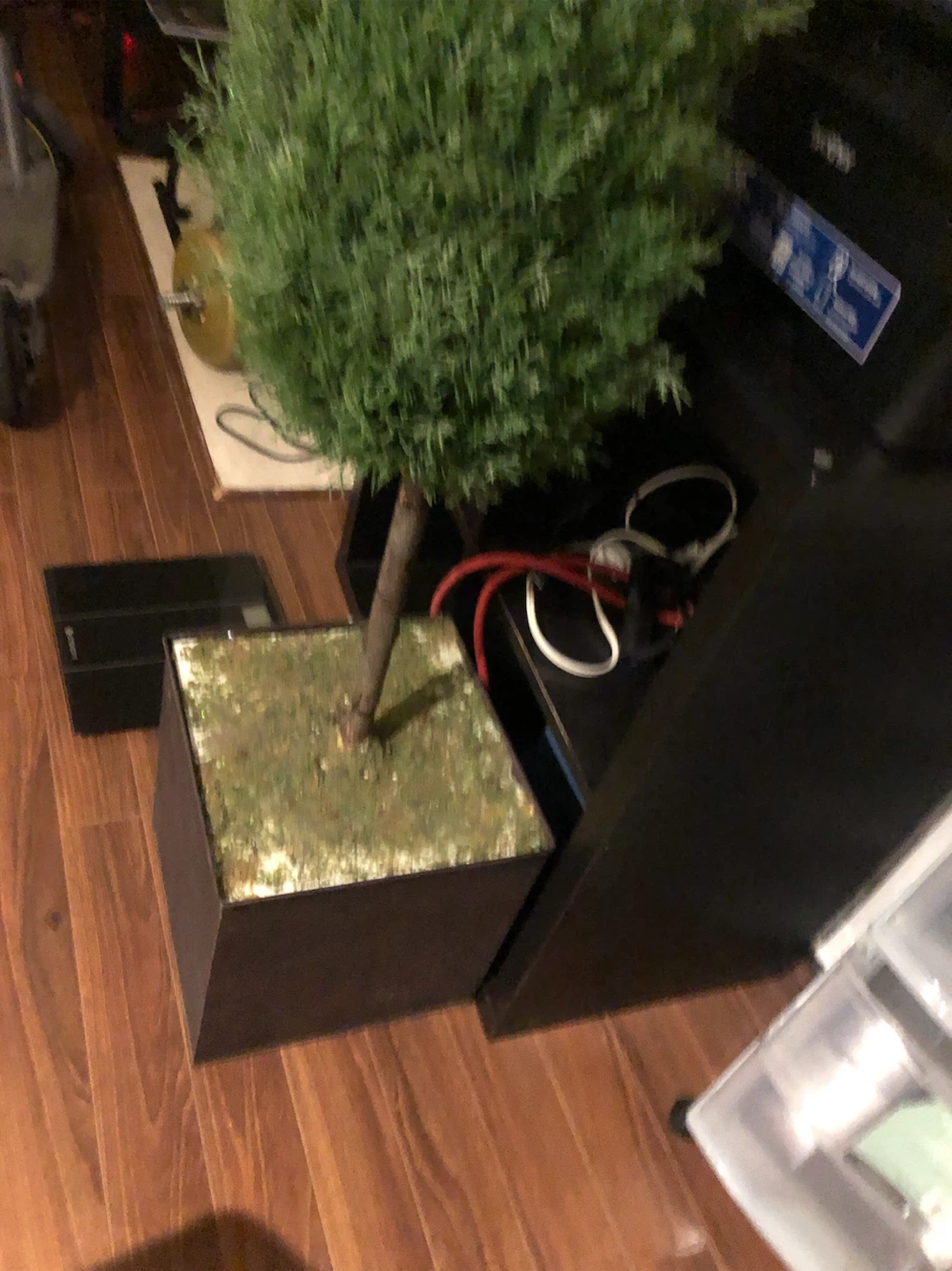 Artificial Pine Tree in Pot - photo 3