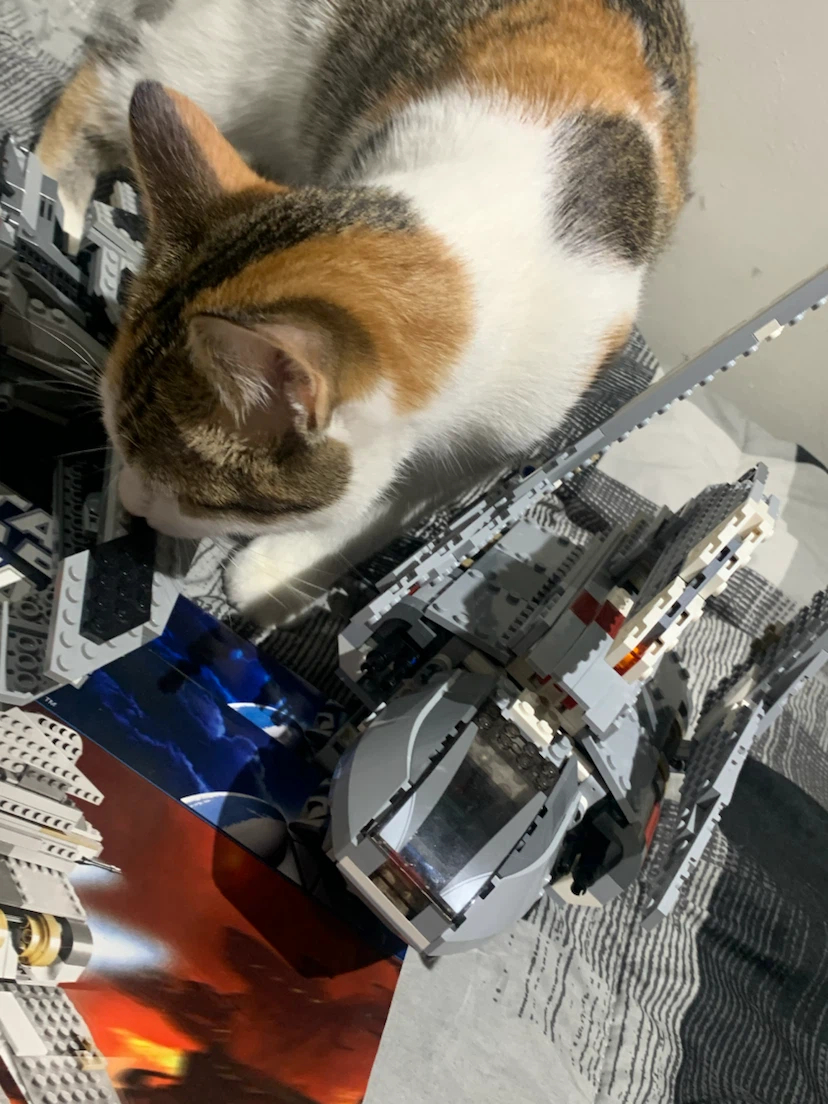 URGENT LEGO STAR WARS LOT - photo 4