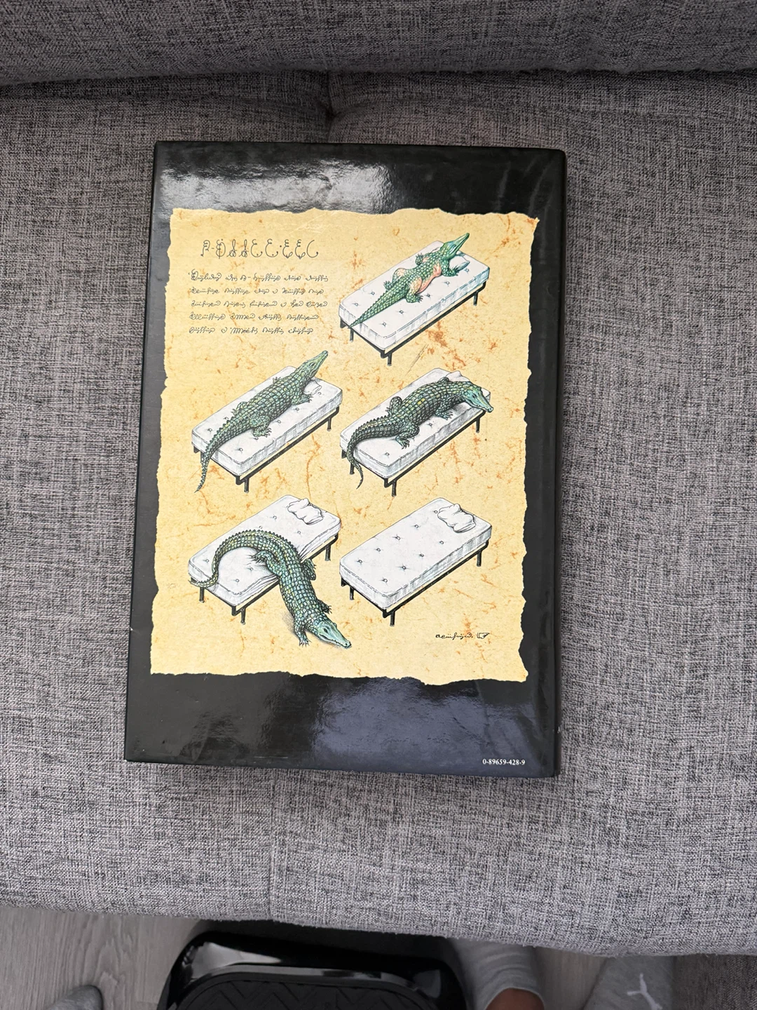 Codex Seraphinianus Book - photo 3