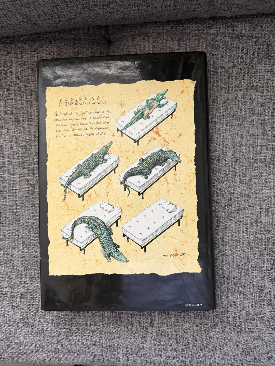 Codex Seraphinianus Book - photo 4