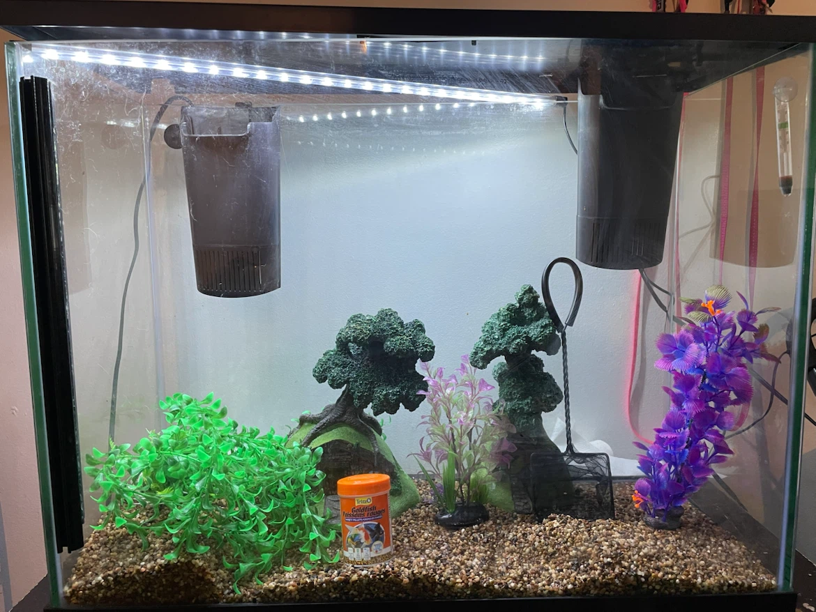 37 Gallon Fish Tank - photo 2
