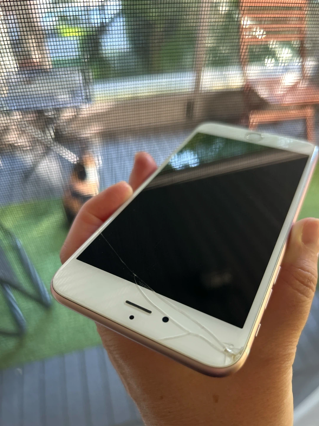 Apple iPhone 6s Plus Rose Gold - photo 3