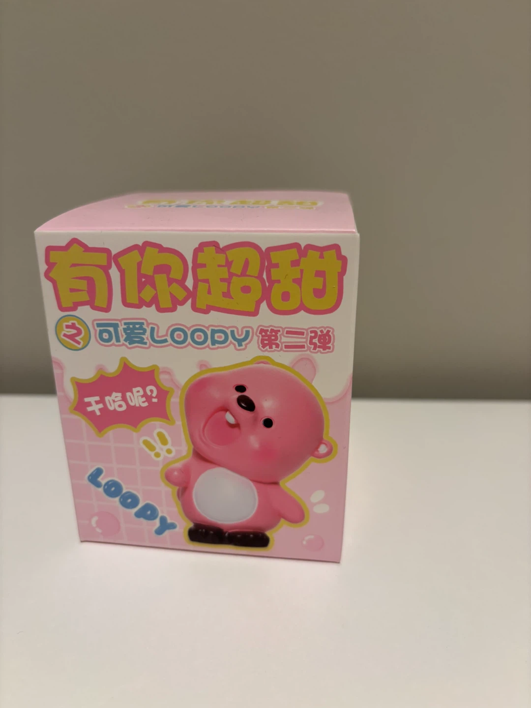 LOOPY Blind Box Toy