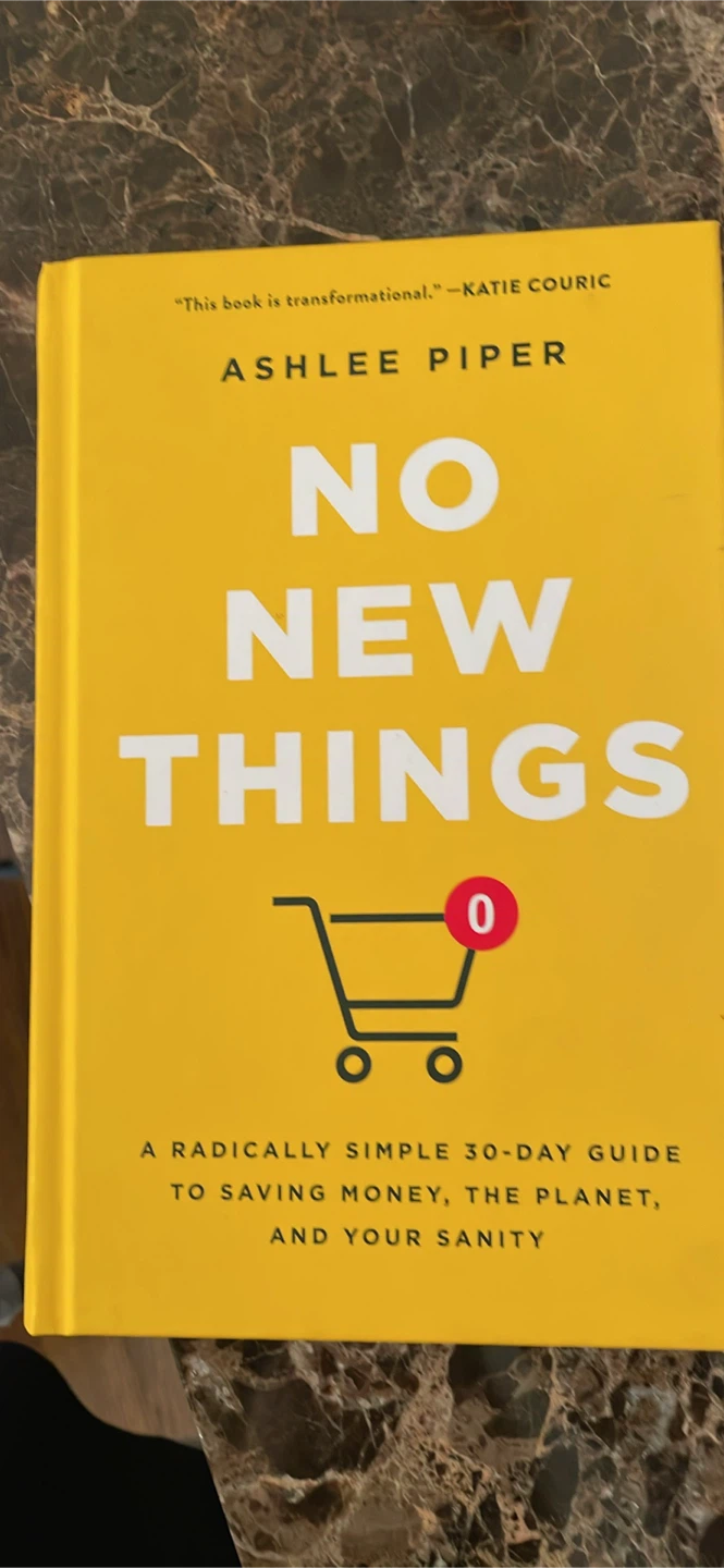 No New Things by Ashlee Piper Book