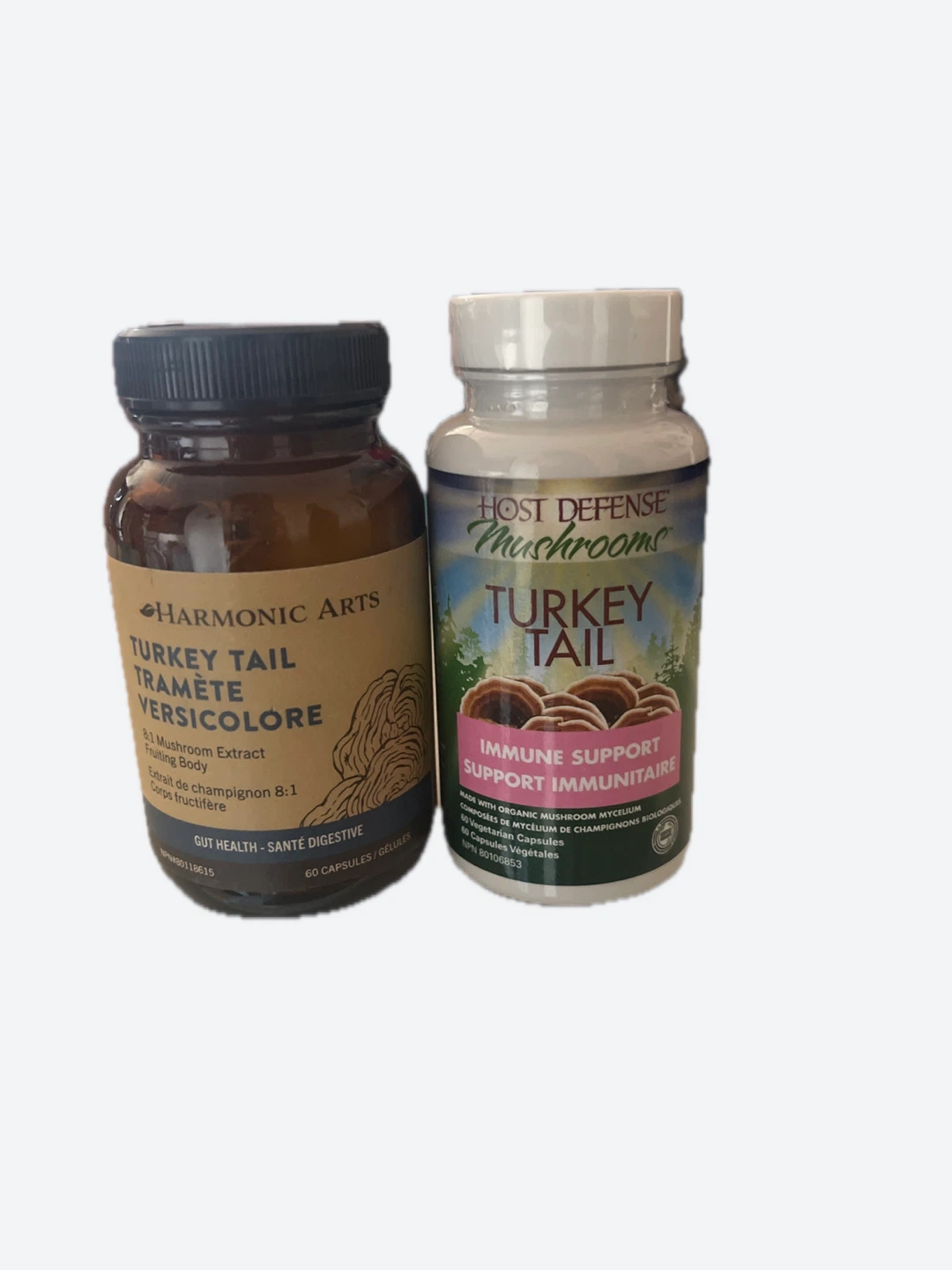 Turkey tail extracts pill form