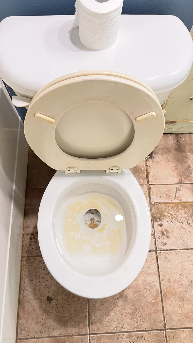 House Cleaning | Regular, Move-In & Move-Out Cleaning