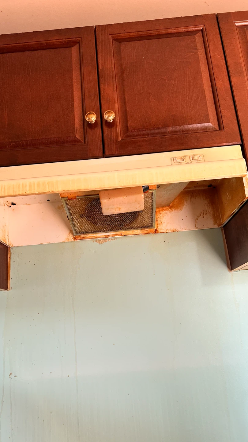 House Cleaning | Regular, Move-In & Move-Out Cleaning - photo 3