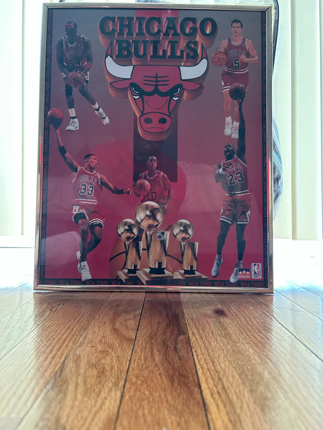 Chicago Bulls Back to Back Champs 1992 NBA Finals Memorabilia