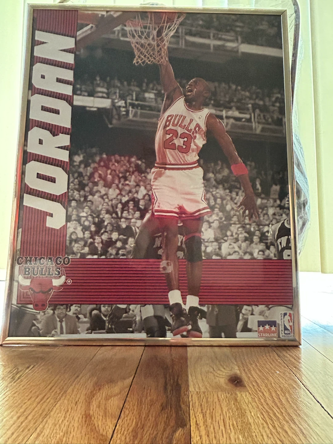 Chicago Bulls Back to Back Champs 1992 NBA Finals Memorabilia - photo 2