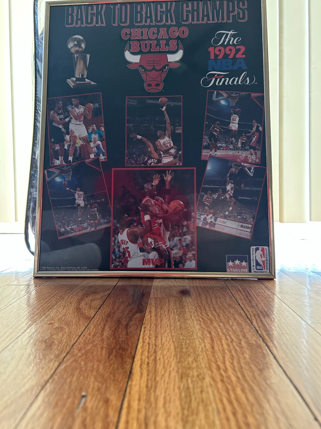 Chicago Bulls Back to Back Champs 1992 NBA Finals Memorabilia - photo 3