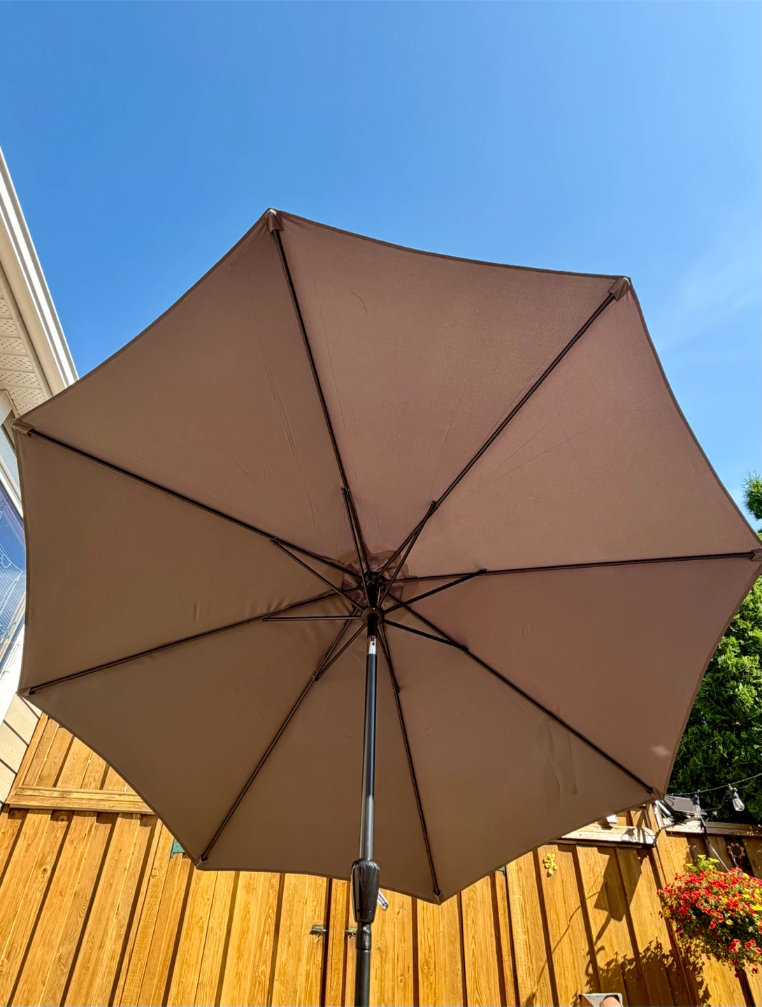 Umbrella - photo 3