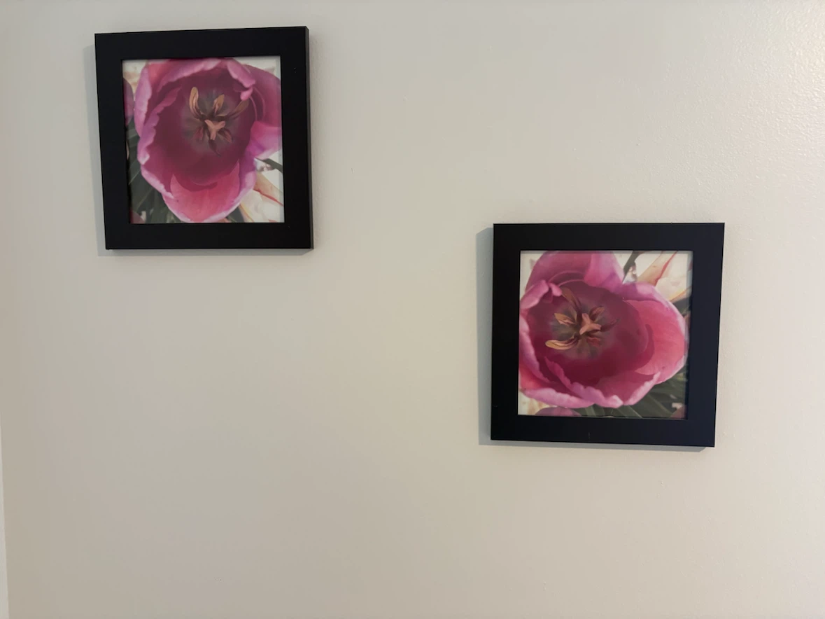Set of 2 Framed Tulip Art Prints
