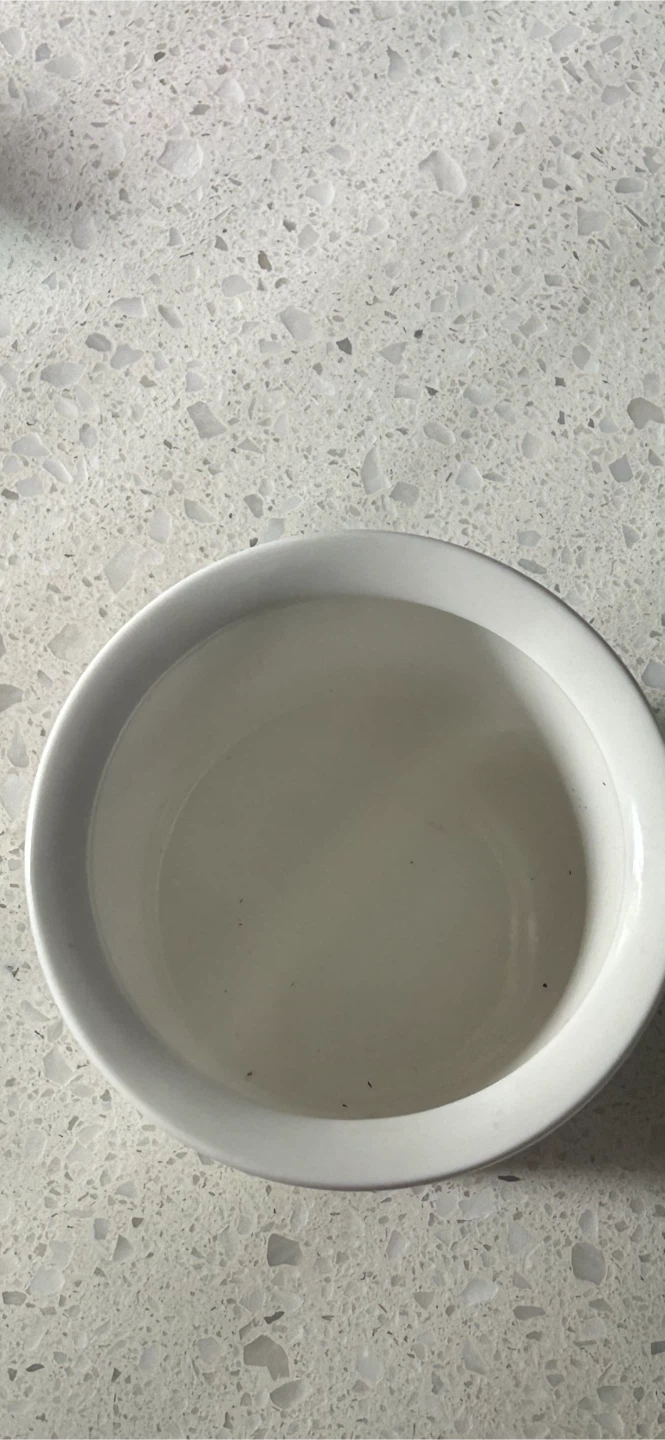 White Ceramic Plant Pot - Perfect for succulents/small plants! - photo 3