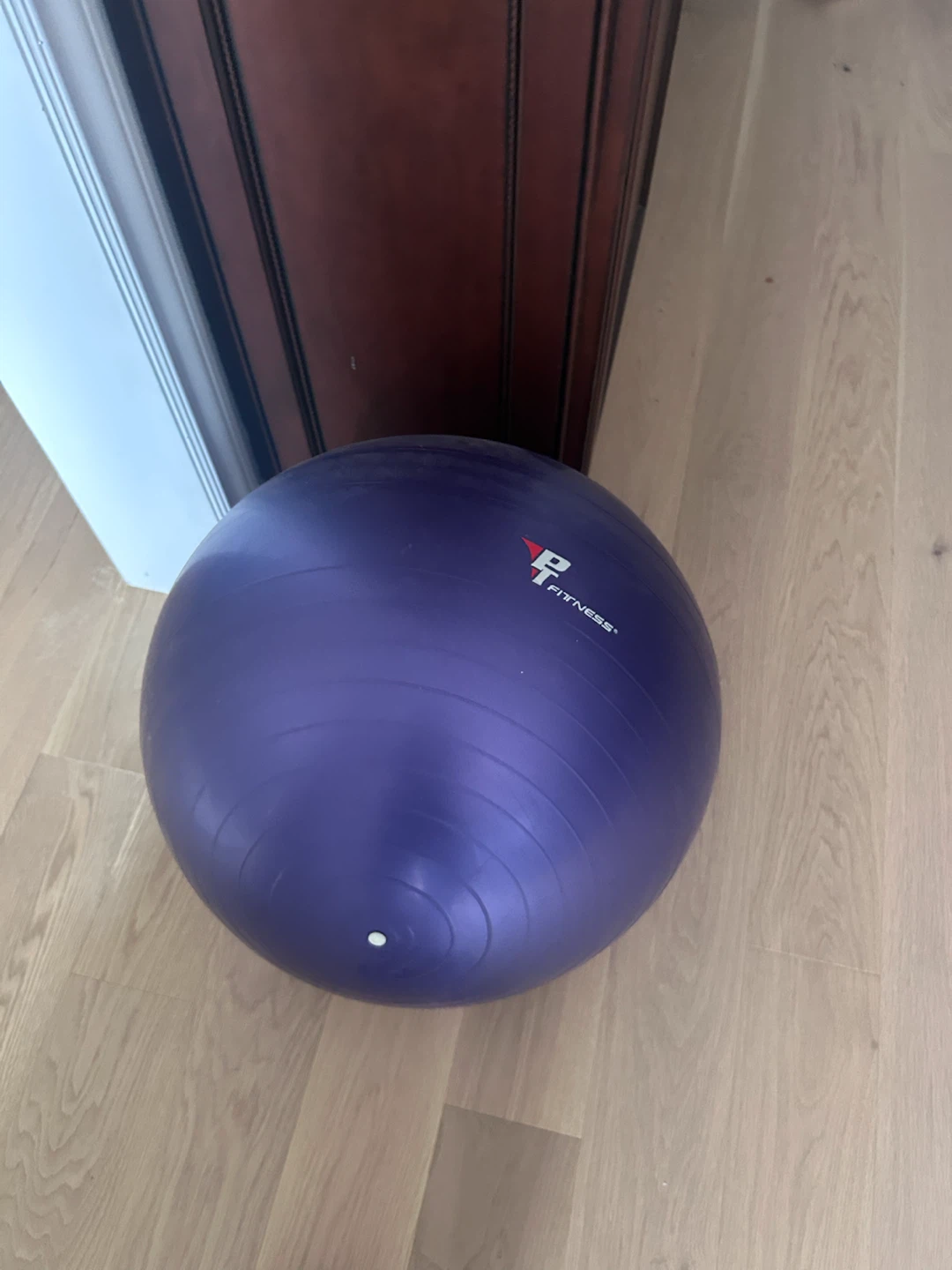 Purple Fitness Stability Ball